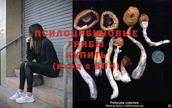СК Абаза