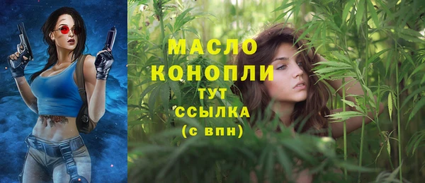 крисы Пересвет